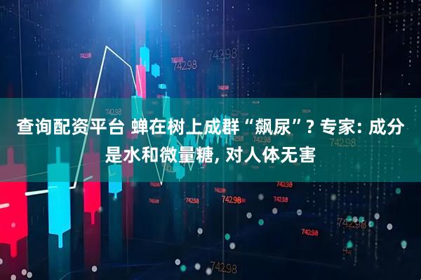 查询配资平台 蝉在树上成群“飙尿”? 专家: 成分是水和微量糖, 对人体无害