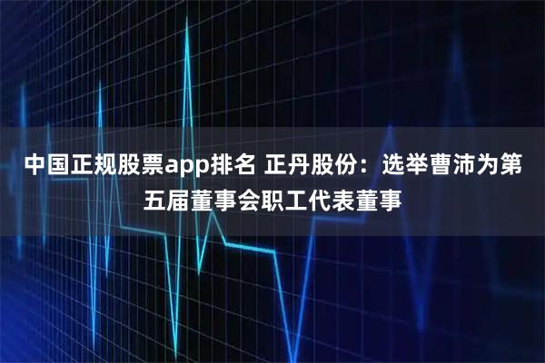 中国正规股票app排名 正丹股份：选举曹沛为第五届董事会职工代表董事